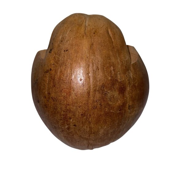 Handmade Wise Owl Wearing Glasses Coconut Shell Figurine Sculpture Kitsch BOHO - Picture 3 of 12